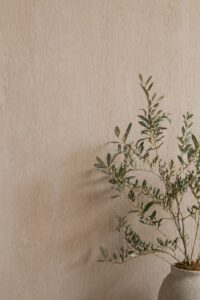 Limestone Decay detail